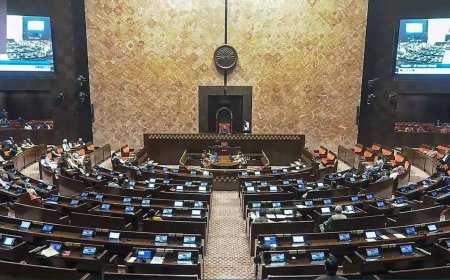 Parliamentary panel passes resolution against AI summit protest, opposition MPs dissent