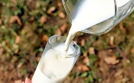 FSSAI seeks report on 'adulterated milk' incident that killed 4 in Andhra Pradesh