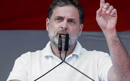 'You've already danced &amp; sung’: Rahul Gandhi targets PM Modi over Israel trip, brings up US trade deal 'challenge'