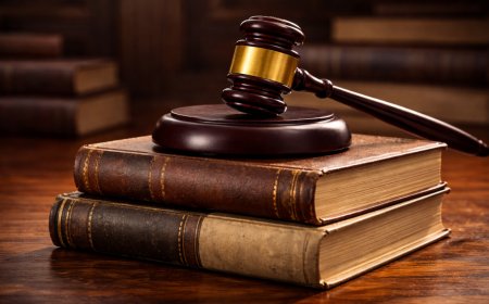 'They fired the gun &amp; judiciary is bleeding': SC's sharp remarks on NCERT over graft chapter — top 10 quotes