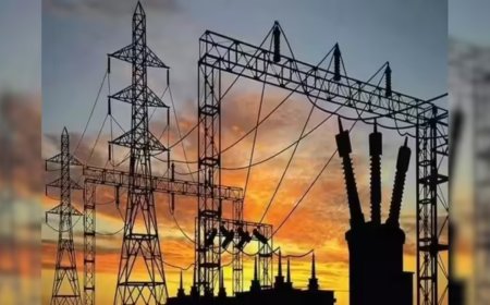 CEA says India ready for 270 GW peak demand; Discoms must ensure reliable supply