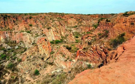 SC seeks experts for panel on Aravalis; mining ban to continue