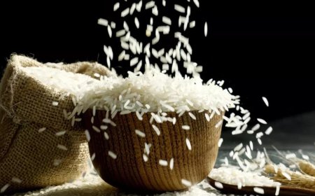 Government suspends fortified rice rollout in welfare schemes citing shelf-life concerns