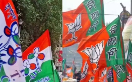 Trinamool names 4 Rajya Sabha candidates, BJP hits back over 'non-Bengali' charge