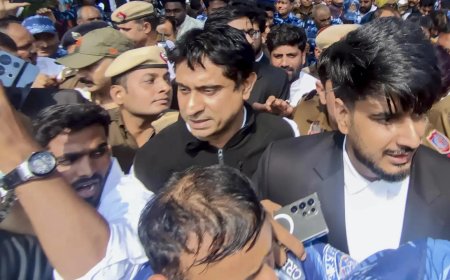 'Shirtless' protest row: Youth Congress chief Uday Bhanu Chib granted bail