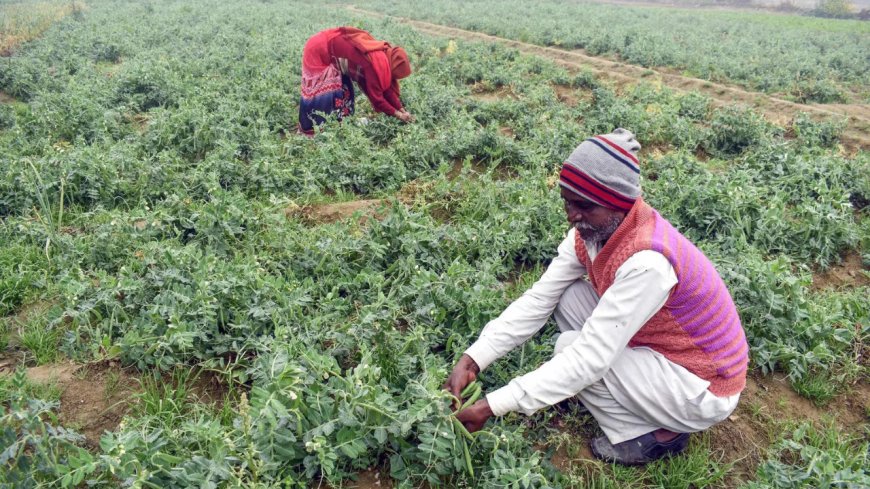 Farmers left empty-handed despite Budget hopes: BKU Charuni