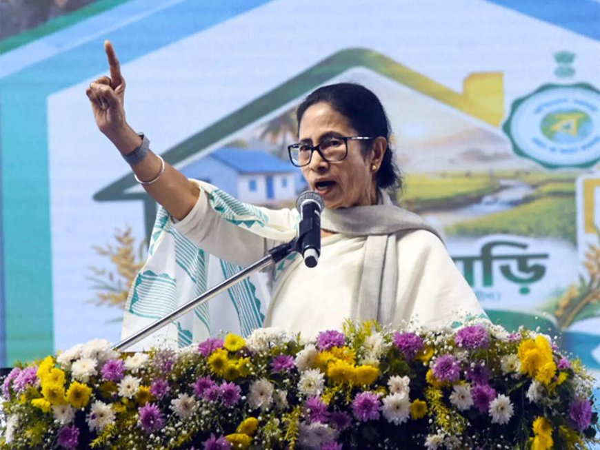 Mamata Banerjee moves Supreme Court against Bengal SIR; Election Commission and state poll body made parties in case