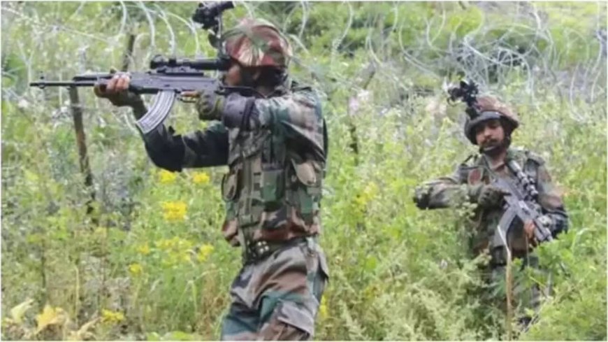 Operation Kiya: Two terrorists killed by security forces in J&amp;K's Udhampur