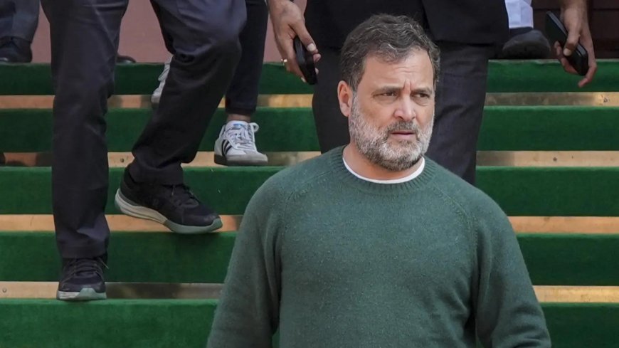 'Scared of truth, sought refuge in lies': Rahul Gandhi reacts to PM Modi's RS speech