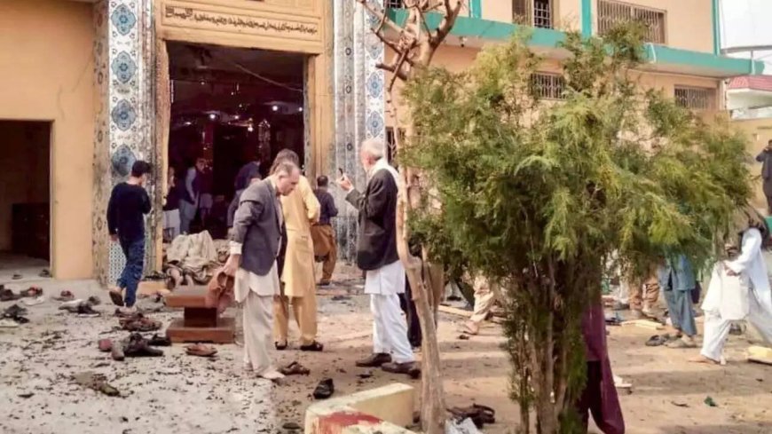 Evening news wrap: Suicide blast kills 31 in Pakistan, over 160 injured; Siddaramaiah's son rules out leadership change &amp; more