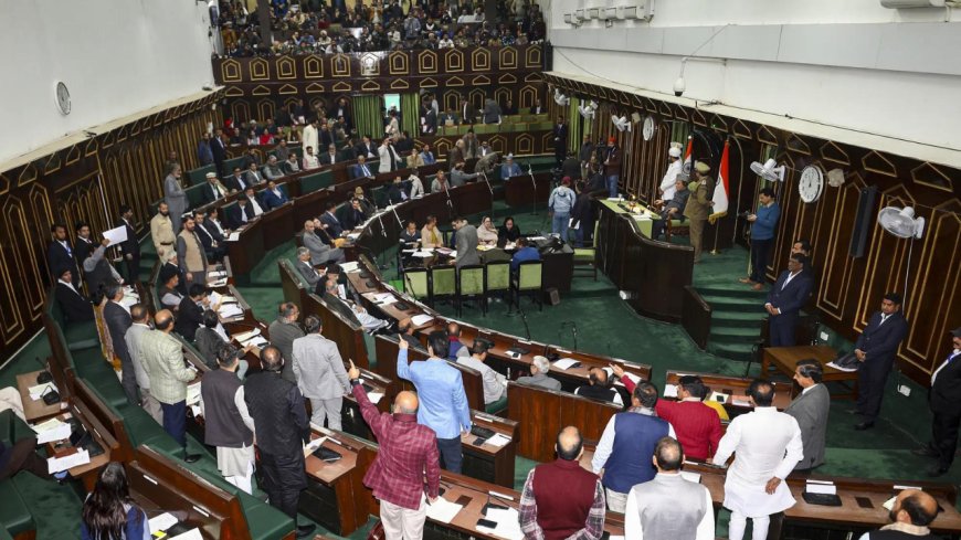 Young J&amp;K MLA draws praise from across the aisle for House speech