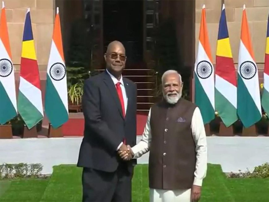 Prime Minister Narendra Modi meets Seychelles President Patrick Herminie