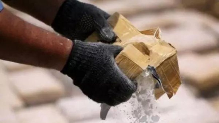 Drone-dropped heroin seized in J&amp;K’s Kathua, 2 with Pakistan links held