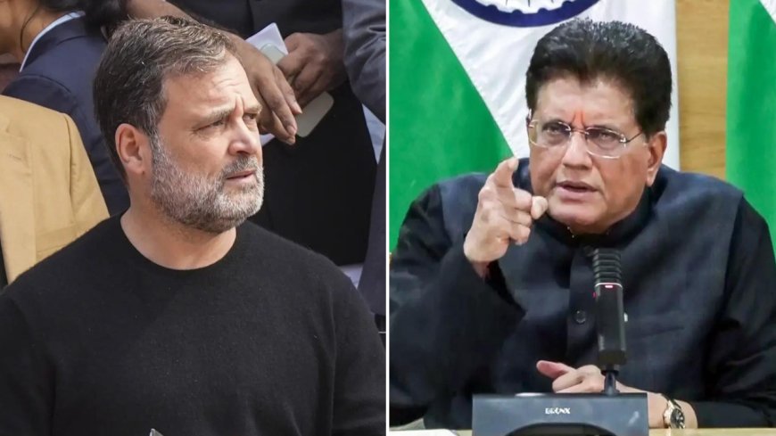 'Politics of negativity': Piyush Goyal rejects Rahul Gandhi's concerns over India-US trade deal