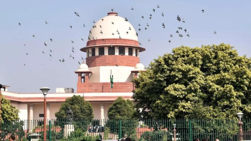 'Don't trust anyone': SC cautions the young against pre-marital sex