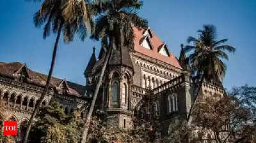 Can't force dad's caste on child raised by single mom: Bombay HC