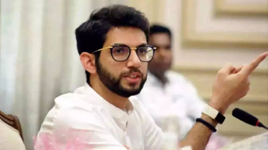 Sena UBT stakes claim to Rajya Sabha, council seats MVA can win