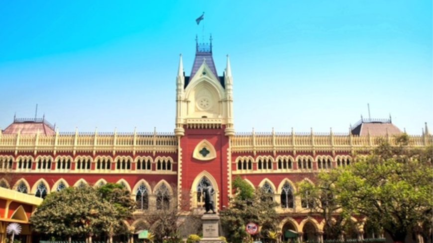 Parents' qualification doesn't matter in custody battle: Calcutta HC