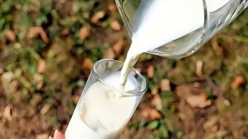 FSSAI seeks report on 'adulterated milk' incident that killed 4 in Andhra Pradesh