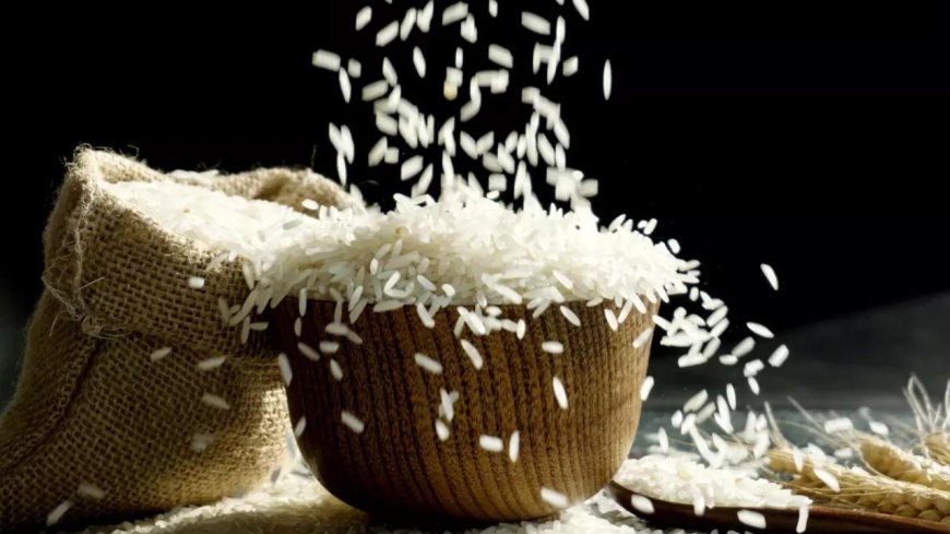Government suspends fortified rice rollout in welfare schemes citing shelf-life concerns