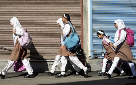 LoC drone intrusions force closure of Kashmir schools till March 3