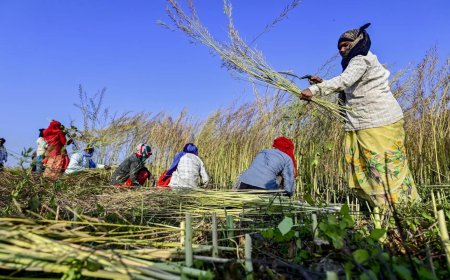 Grains for all: UP boosts food security with tech, nutrition and robust procurement systems