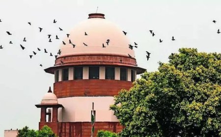 After 41 years, Supreme Court finds accused guilty but waives prison term