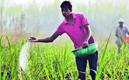 Gulf conflict: LNG squeeze may impact urea output ahead of kharif season