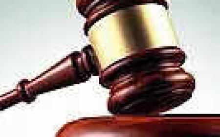 STs following Hindu customs can't be excluded from Hindu marriage law: High court