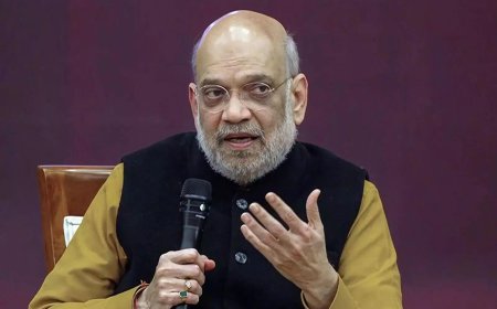 Amit Shah unveils mascots ‘Pragati’ and ‘Vikas’ for India’s first digital Census