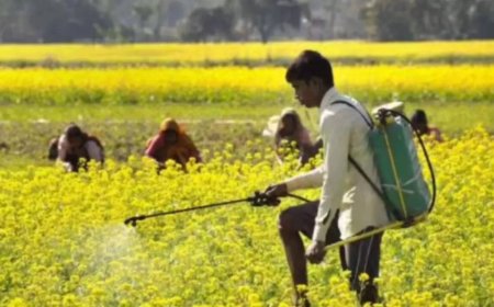 Shift from traditional to technology-driven farming - UP sees surge in agricultural productivity