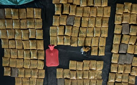 NCB busts Nepal-to-Sri Lanka drug network worth Rs 10 crore; 5 arrested, 77.6 kg Hashish oil seized