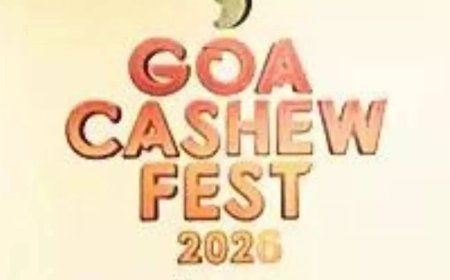 Goa cashew fest to create awareness about safe driving