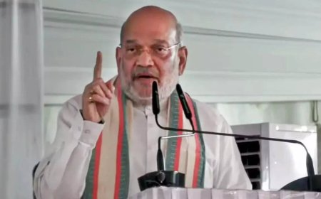 'Red corridor' will be crushed by March 31, says Amit Shah