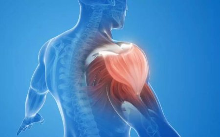 Losing muscle with age? New Indian guidelines warn of a hidden health risk