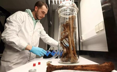 Stressful, toxic people in your life may make you age faster, say researchers