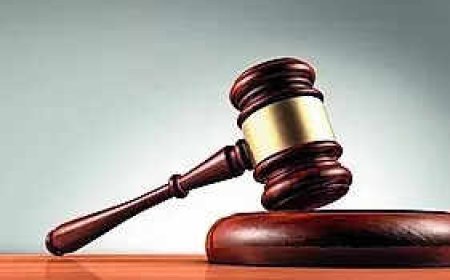 Little accountability put on heads &amp; members of tribunals, says SC