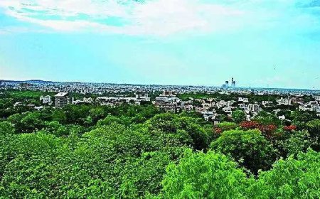 Government moots central body to curb green nod delay