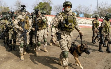 Army columns deployed in Meghalaya after 2 killed in police firing; curfew clamped