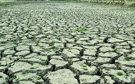 El Nino may hit India's monsoon, hotter months ahead, says WMO