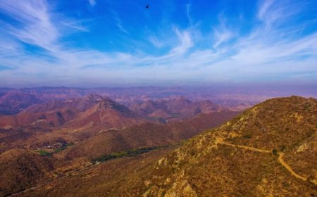 Aravallis lost 13.8% soil per year during 2017-2024: Study