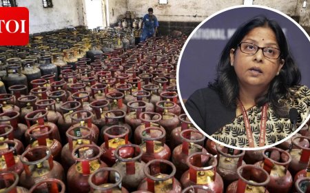 'Difficult situation': Government briefs on LPG supply, urges citizens to avoid panic booking