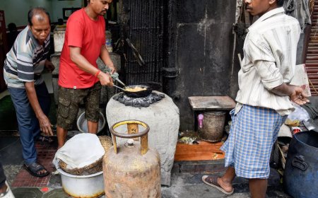 Kerosene, coal return as cooking options as energy supplies from West Asia remain disrupted