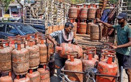 Go for piped natural gas, ease strain on domestic LPG: Govt