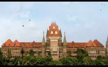 HC indicates it may not give bail, poaching accused withdraws plea
