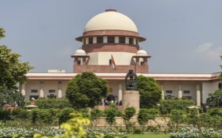 Blanket period leave policy not needed, may hit women's job prospects: Experts