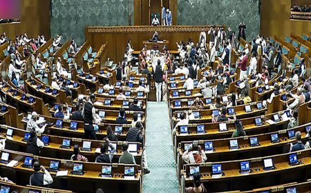 Govt tables bill proposing more precise definition of transgender, drops ‘self-perceived gender identity’