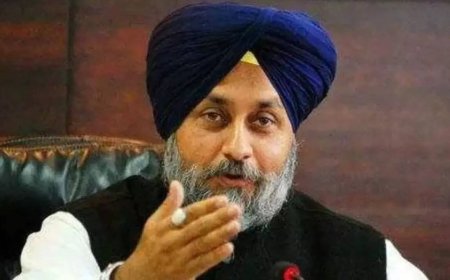 Every party has right to decide alliances: Sukhbir Badal on BJP going solo in 2027 Punjab polls