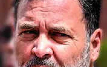 Govt failed to keep promises made to farmers, says Rahul