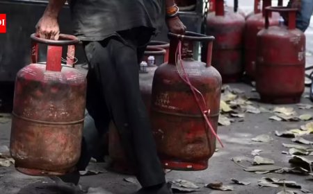 LPG woes: 2 power subsidy for TN eateries